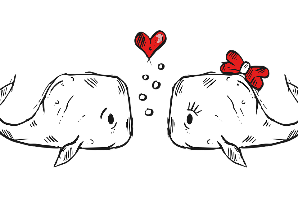 whales-in-love-6746248_1280